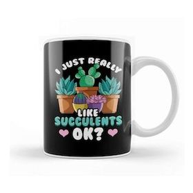 Humuts Cute I Just Really Like Succulents Ok Plant Kupa Bardak