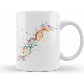 Humuts Dna Molecule Kupa