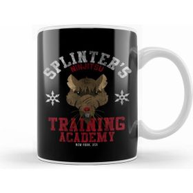 Humuts Teenage Mutant Ninja Turtles Splinter Training Academy Kupa