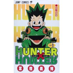 Hunter x Hunter Vol 1 (Kapak Değişebilir)