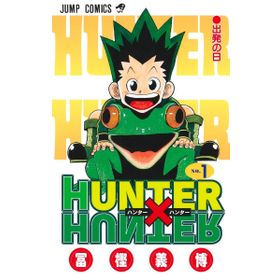 Hunter x Hunter Vol 1 (Kapak Değişebilir)