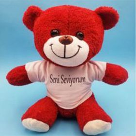 Huramarketing Kırmızı Seni Seviyorum Tişörtlü Peluş Ayıcık