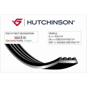 Hutchınson 6PK1755 1755 K 6 Scorpıo II 94-98 Kanallı Kayış