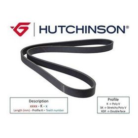 Hutchınson 6PK1755 1755 K 6 Scorpıo II 94-98 Kanallı Kayış
