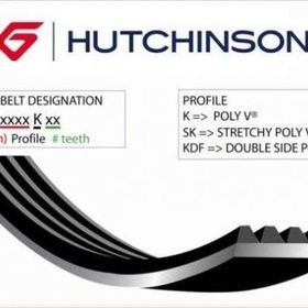 Hutchınson 6PK1755 1755 K 6 Scorpıo II 94-98 Kanallı Kayış
