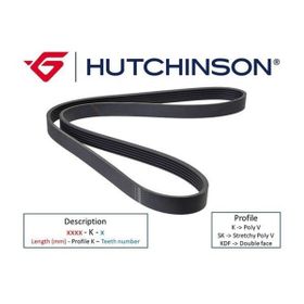 Hutchınson 7PK1600 Alternatör Kayışı