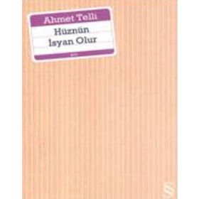 HÜZNÜN İSYAN OLUR - AHMET TELLI
