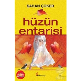 HÜZÜN ENTARISI - METIN ÖNAL MENGÜŞOĞLU