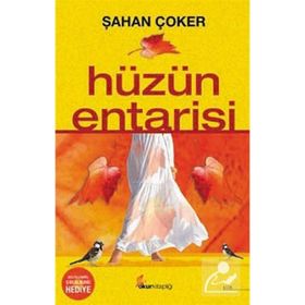 Hüzün Entarisi - Şahan Çoker