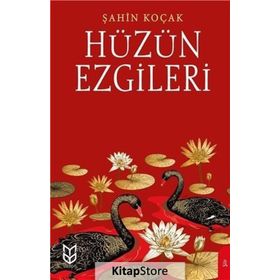 Hüzün Ezgileri - Şahin Koçak