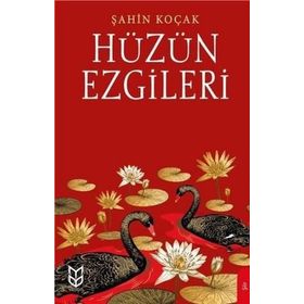 Hüzün Ezgileri - Şahin Koçak