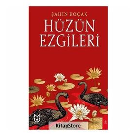 Hüzün Ezgileri - Şahin Koçak