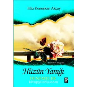 Hüzün Yanığı - Filiz Konuşkan Akça