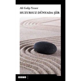 Huzursuz Dünyada Şiir - ali galip fer