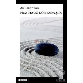 Huzursuz Dünyada Şiir - ali galip fer