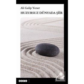 Huzursuz Dünyada Şiir - ali galip fer