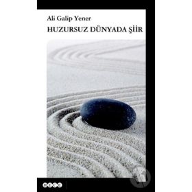 Huzursuz Dünyada Şiir - ali galip fer