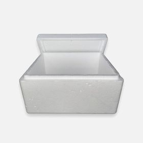 HYB 19.5x25.5x12 cm Strafor Kutu