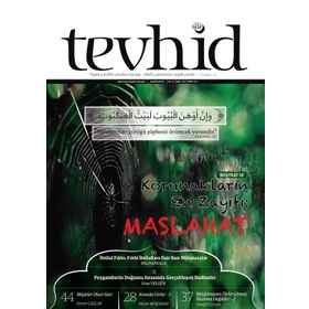 HZ. MUSA'NIN ÖLÜM MELEĞİNİN GÖZÜNÜ ÇIKARMASI HADISINI ANLAMAYA DOĞRU - NECMI SARI