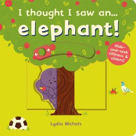 I Thought I Saw An Elephant-Templar Publishing
