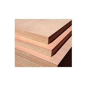 iAhşap Marin Huş Kontraplak 4-6-8-10-12-15-18 mm 30x50 cm12 mm 1 Adet Plaka