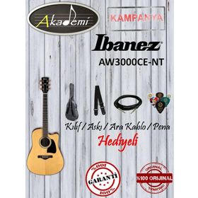 Ibanez AW3000CE-NT Cutaway Elektro Akustik Gitar