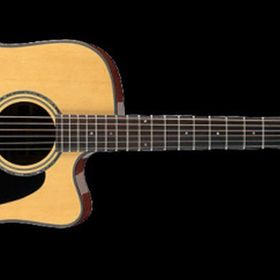 Ibanez AW3000CE-NT Cutaway Elektro Akustik Gitar