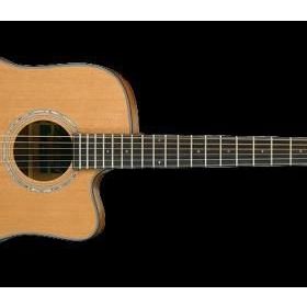 Ibanez AW3050CE-LG Elektro Akustik Gitar CutAWay