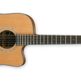 Ibanez AW3050CE-LG Elektro Akustik Gitar CutAWay