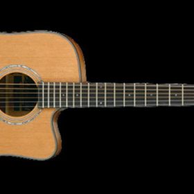 Ibanez AW3050CE-LG Elektro Akustik Gitar CutAWay