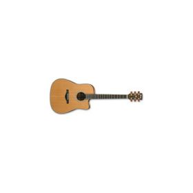 Ibanez AW3050CE-LG Elektro Akustik Gitar CutAWay