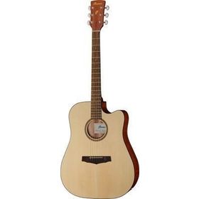IBANEZ PF10CE-OPN Elektro Akustik Gitar