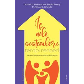 İç Aile Sistemleri Terapi Rehberi - Frank Anderson
