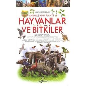İCATLAR - MELTEM BILIR ÇIMEN