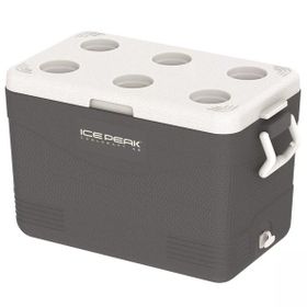 Icepeak Cool Craft 46 41.6 lt Füme Buzluk