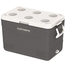 Icepeak Cool Craft 46 41.6 lt Füme Buzluk