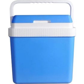 Icepeak SF26 26 lt Çok Renkli Taşıma Çantası Buzluk