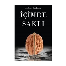 İçimde Saklı - Meltem Kurtulan