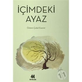 İÇIMDEKI AYAZ - ÖZLEM ÇATAL ESERER