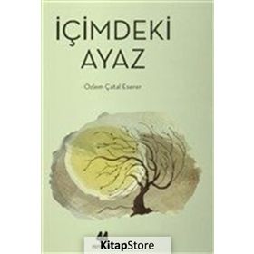 İÇIMDEKI AYAZ - ÖZLEM ÇATAL ESERER