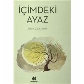 İÇIMDEKI AYAZ - ÖZLEM ÇATAL ESERER