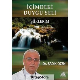 Içimdeki Duygu Seli - Sadık Özen