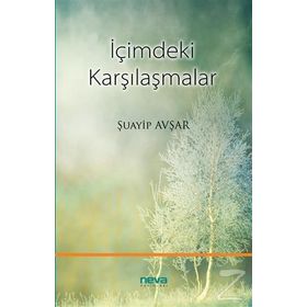İçimdeki Karşılaşmalar - Şuayip Avşar