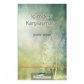 İçimdeki Karşılaşmalar - Şuayip Avşar