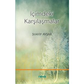 İçimdeki Karşılaşmalar - Şuayip Avşar