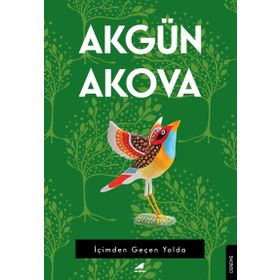 İçimden Geçen Yolda - Akgün Akova