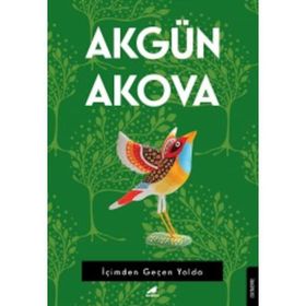 İçimden Geçen Yolda - Akgün Akova