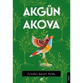 İçimden Geçen Yolda - Akgün Akova