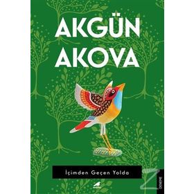 İçimden Geçen Yolda - Akgün Akova