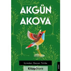 İçimden Geçen Yolda - Akgün Akova